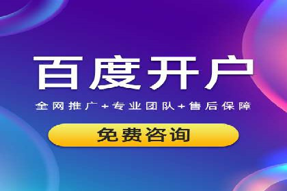 实战技巧：竞价推广案例解析与优化策略
